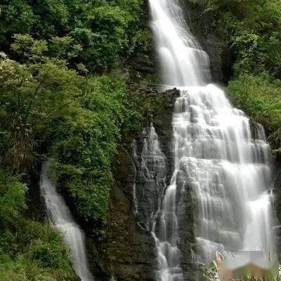 燃烧吧大脑免广告最新版